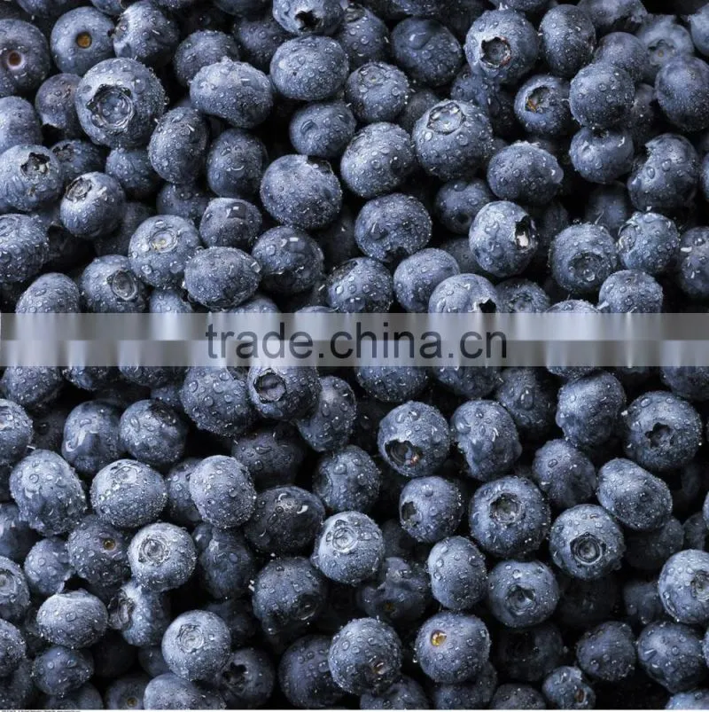 bulk frozen blueberries