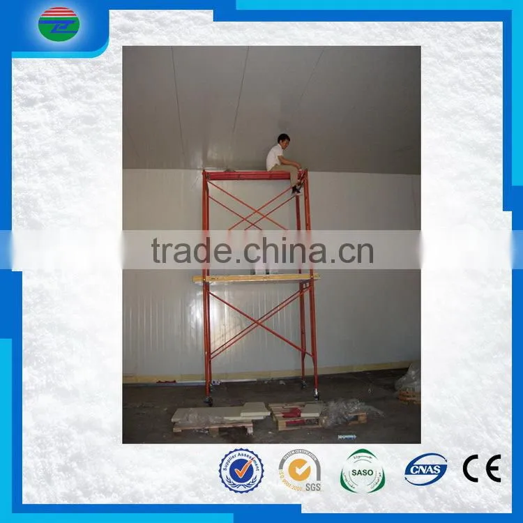 Hot new professional design of a cold storage/cold room for meat storage