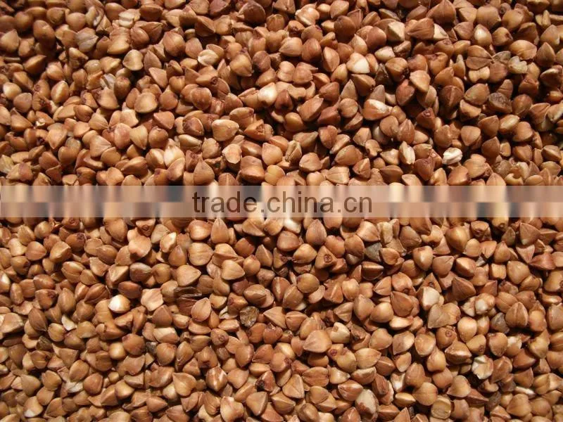 Roasted Buckwheat Kernels , Inner Mongolia