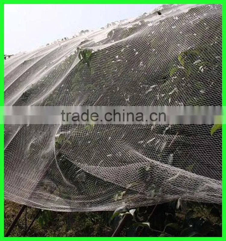 anti hail vegetable nursery sun shade net /plastic greenhouse shade net with favorable price