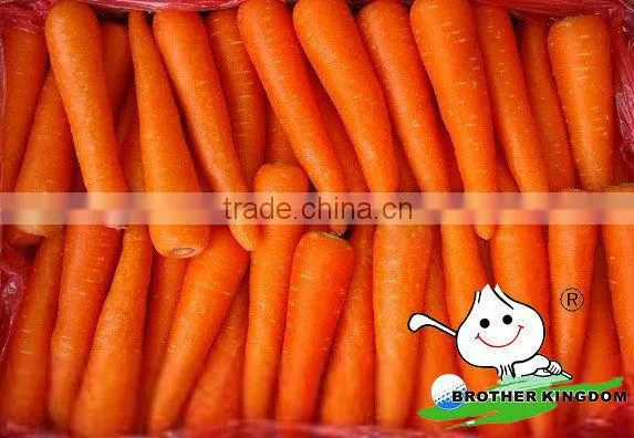 Fresh carrot in Fresh Carrots,Organic Carrots