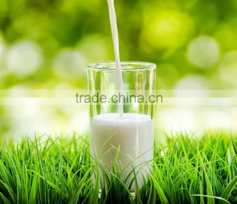 automatic milk vending machine/ milk vending machine for sale/ vending machine for milk