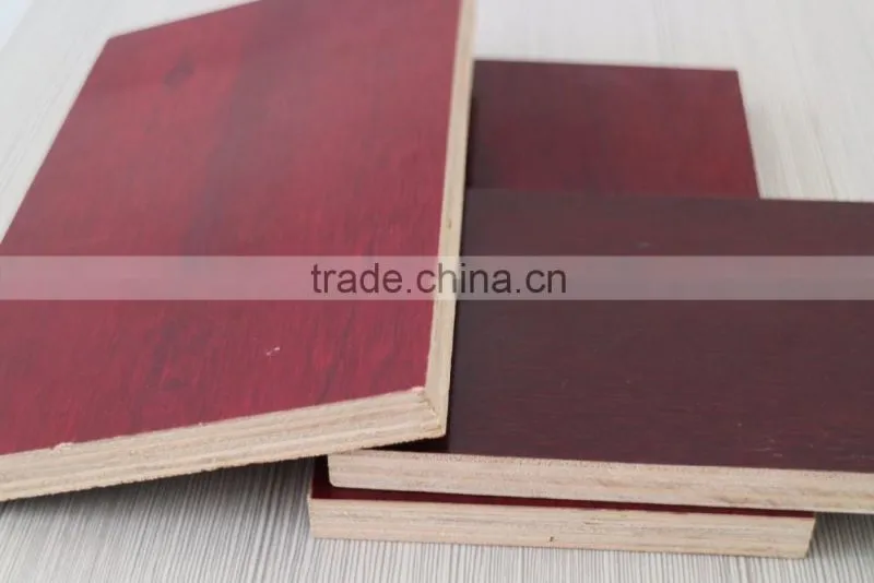 Fencing Eucalyptus Wood Price Plywood for Export