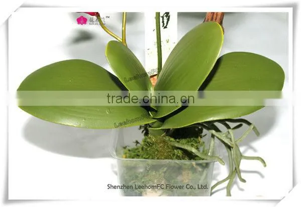 Real Touch Phalaenopsis Orchids Pink Table Flower Centerpieces