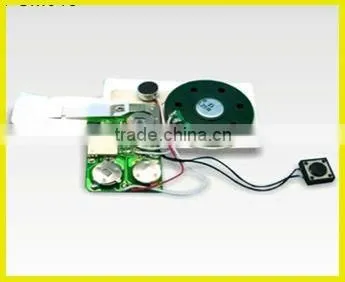 pre-recorded sound module