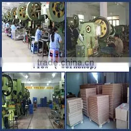 Shenzhen Golden Kind Industrial Co., Ltd. company overview - view 3