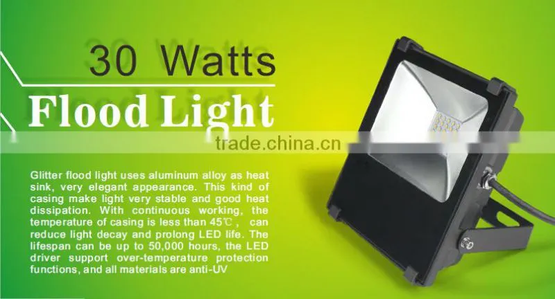 High bright Outdoor IIP66 led garden light 30w with CRI>80 PF>0.95 5 Years Warranty