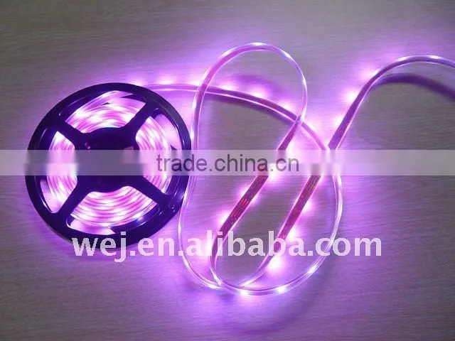 12V waterproof 5050 led ribbon light