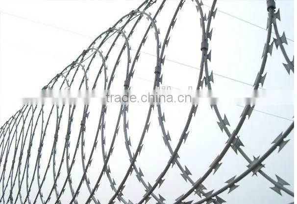 cheap razor barb wire/galvanized razor wire