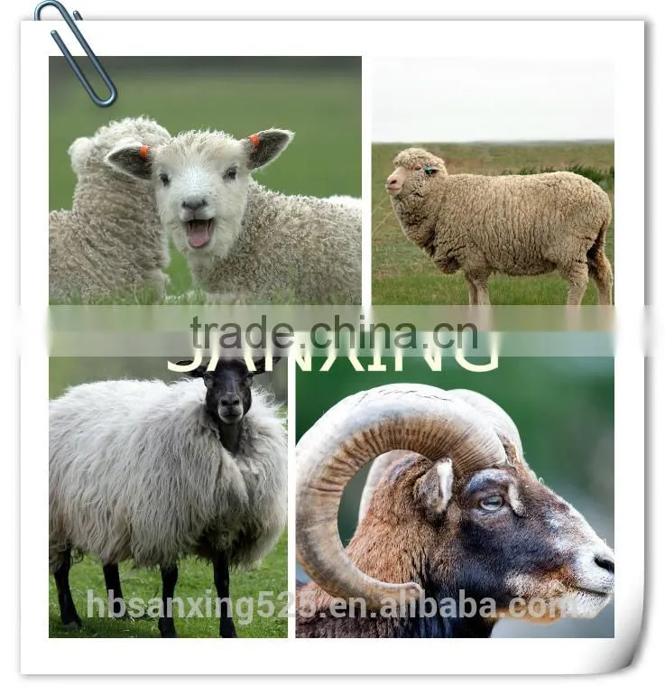 Chinese fleece sheep wool, Mogolian sheep wool, 28-32mic&70-110mm, raw white color