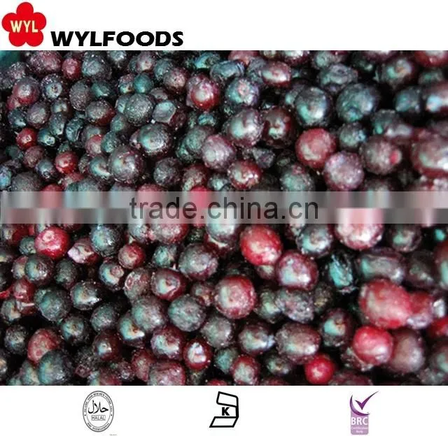IQF frozen blueberry wild