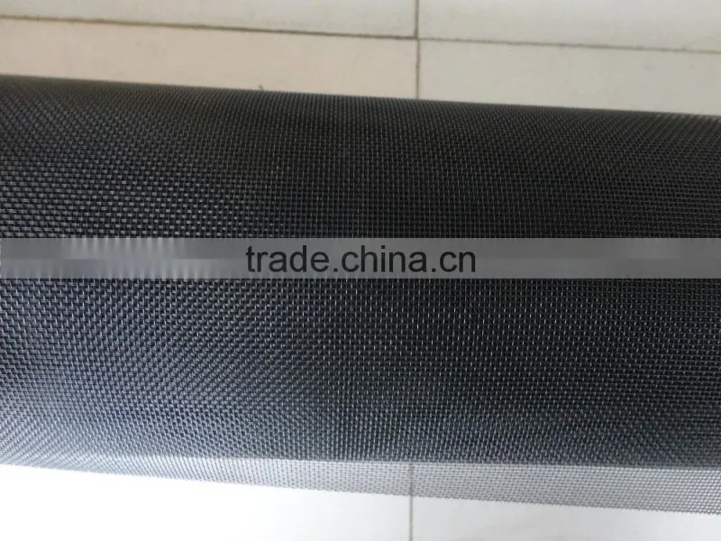 Premium quality black coated wire mesh/black coated ss wire mesh for window