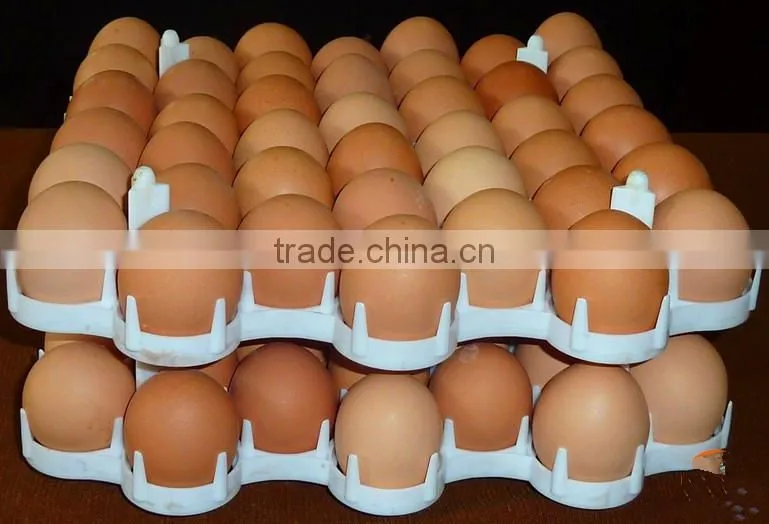 chicken eggs incubators and hatchers