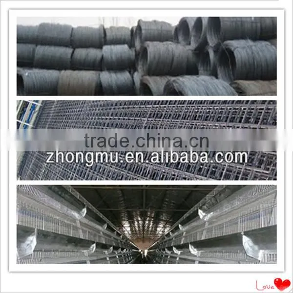 fully automatic chicken cage equipment for poultry farming