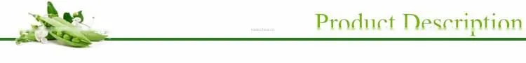 Taizhou Factory Manufacture Chicken Crates(90544)