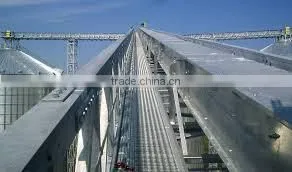 peanut grain chain conveyor for sale