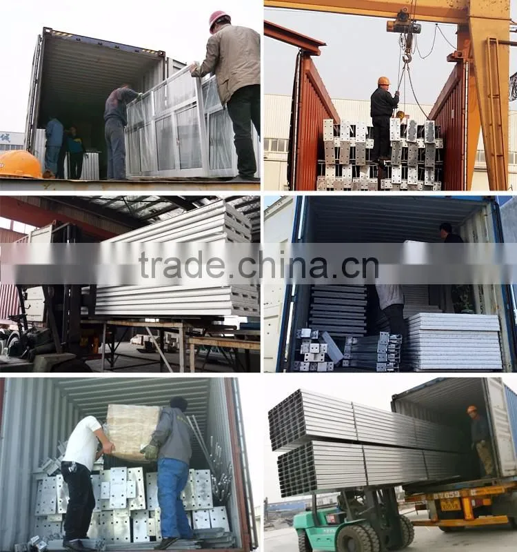 China Poultry Chicken Egg Poultry Farm