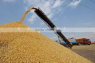 Large capacity food /grain de-ironing separator /magnetic iron removing machine