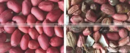 Industrial Optical Color Sorter Machine With Good Performance For Sorting Peanut