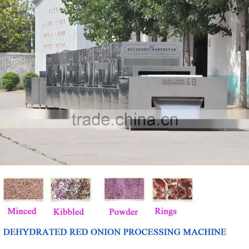 Meeting European Quality Standard onion powder plant microwave drying machine