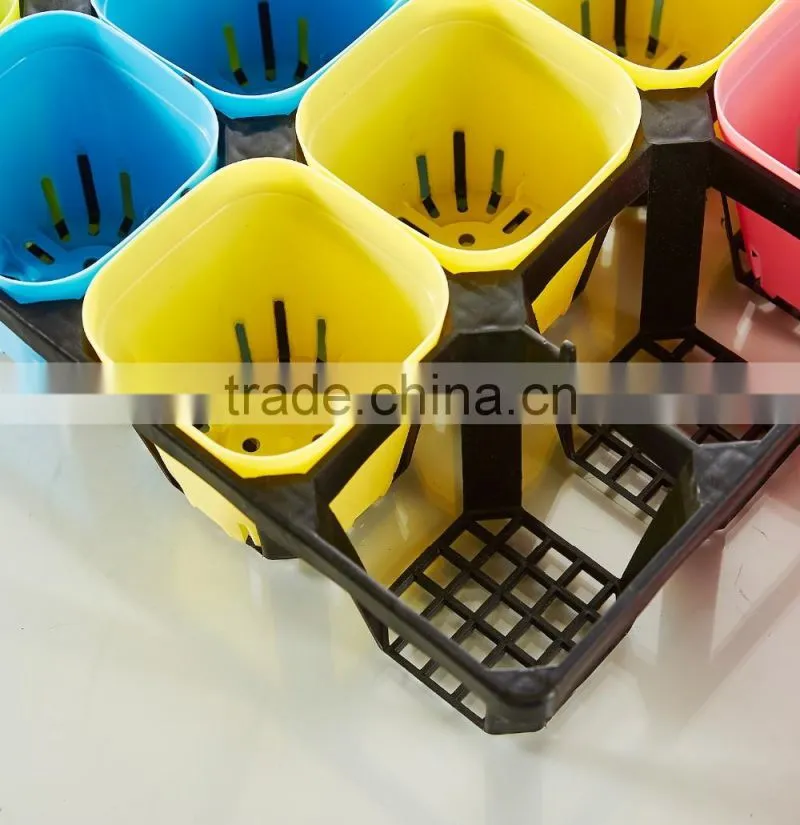 Plastic 24 Divided Plastic Material Hydroponic seedling trays