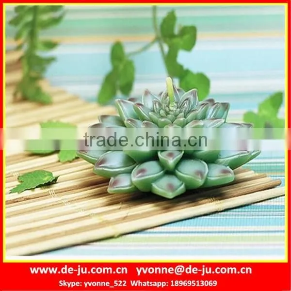 Green Plant Extraordinary Succulent Floating Birthday Candles