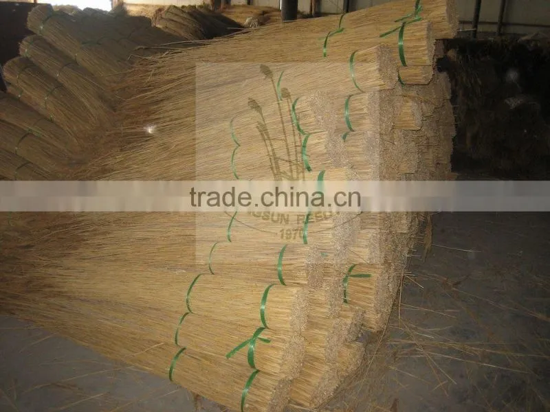 Norfolk reed thatching material