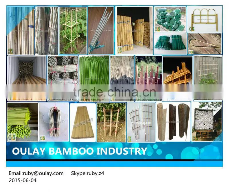 16~18mm 96cm nature color raw bamboo poles with thick wall