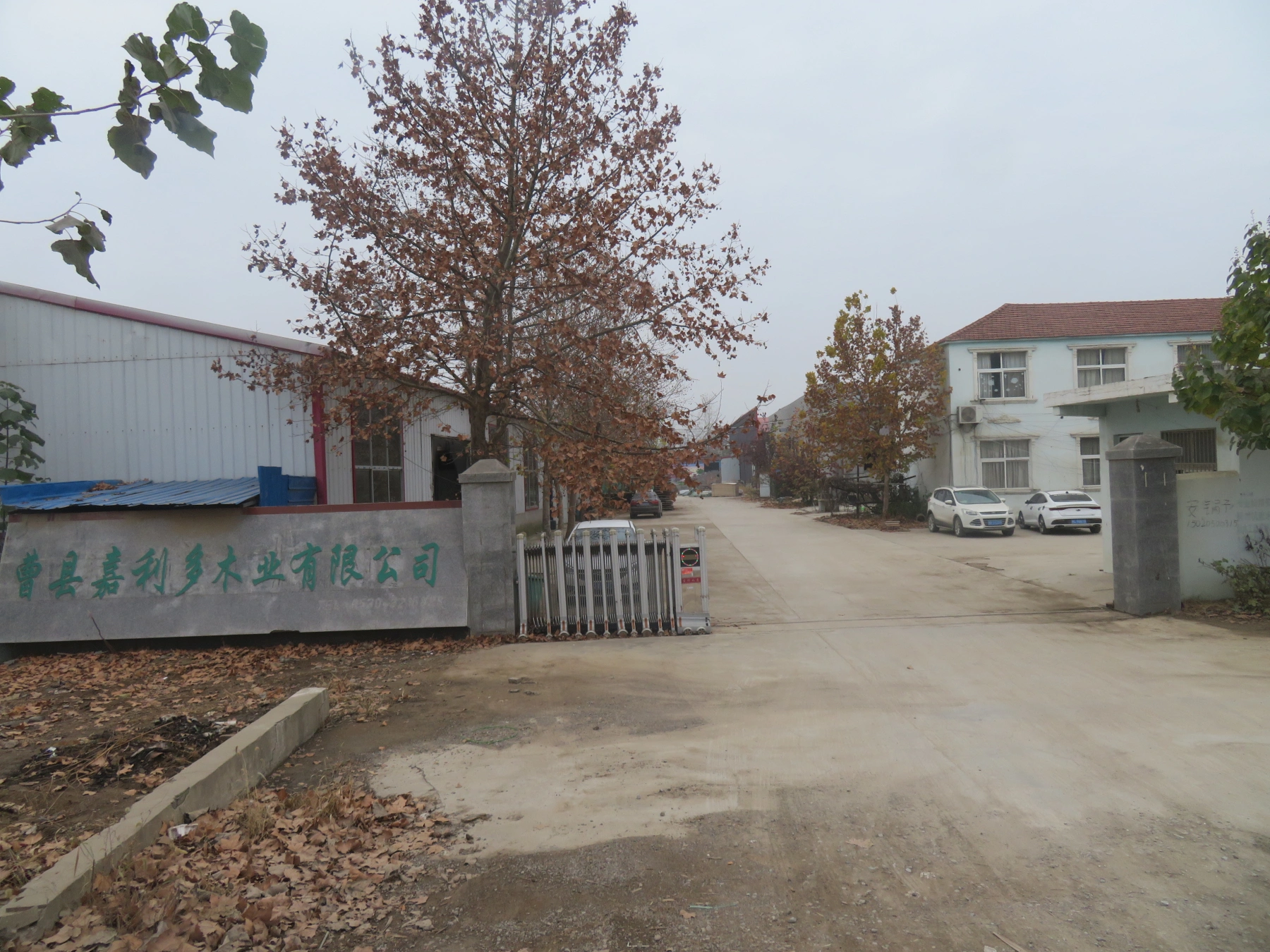 Cao County Jialiduo Wood Products Co.,LTD company overview - view 1