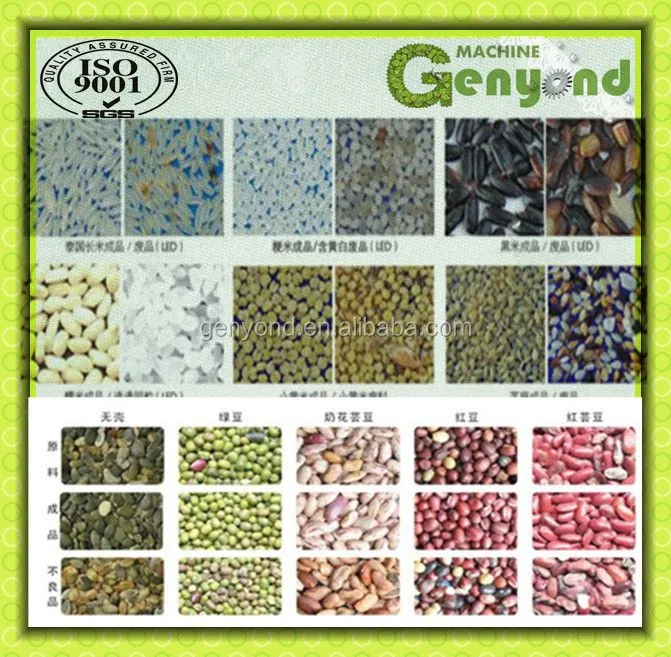 Shanghai Raisin Color Sorting Machine for Raisin Processing