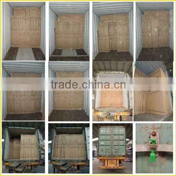 BG-F9035 Tempered Glass Fireplace Interior Door with Fireproof Door Seal