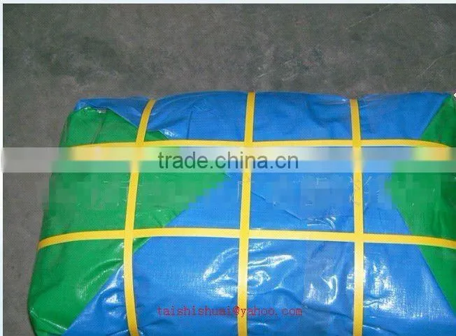 PE Tarpaulin(factory)