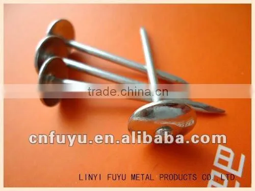 Umbrella Roofing Nails for you