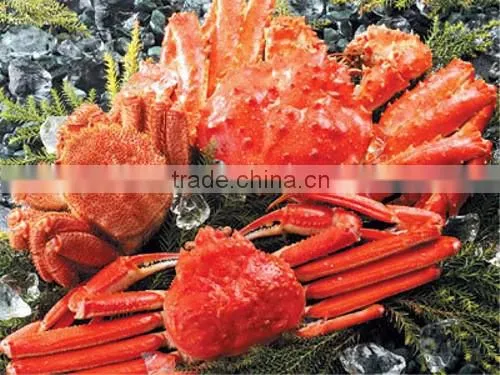 Delicious frozen seafood crab , Other seafoods also available