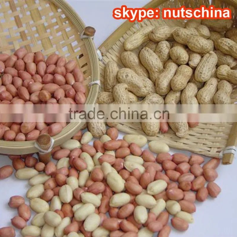 Blanched Peanuts 25/29 29/33