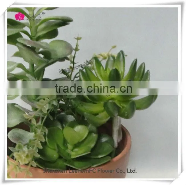 quality super realistic green mini succulent plants bonsai