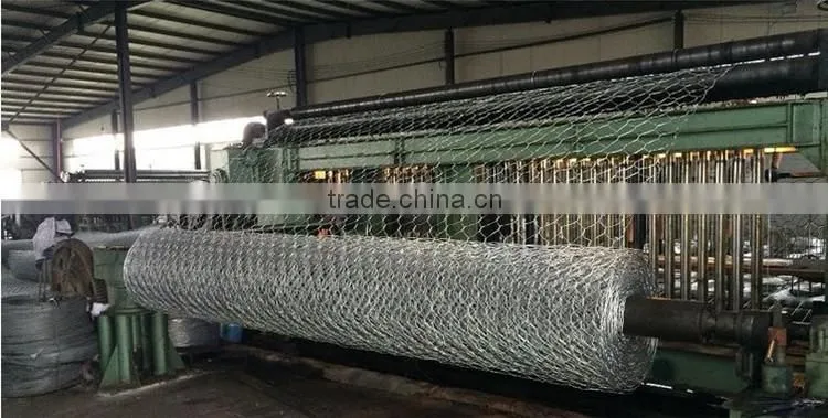 galvanized chicken wire mesh cage