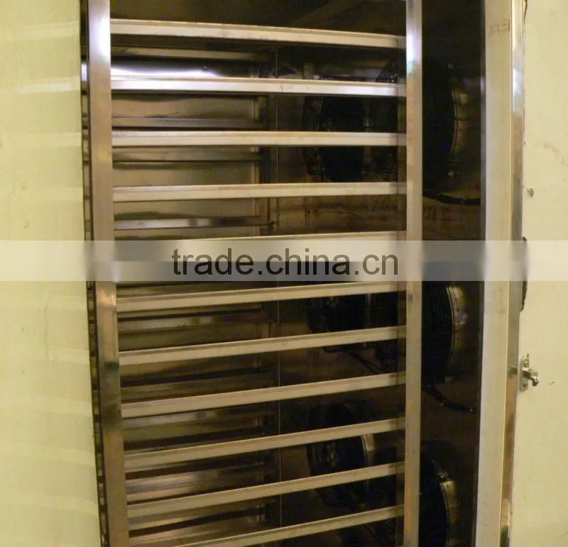 Stainless steel vertical blast freezer with single trolly