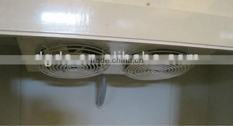Outdoor refrigerated ice tank /ice storage bin with single door