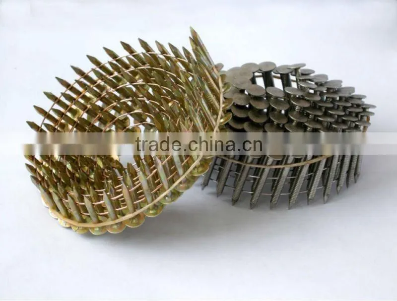 Roofing nails,coil nails