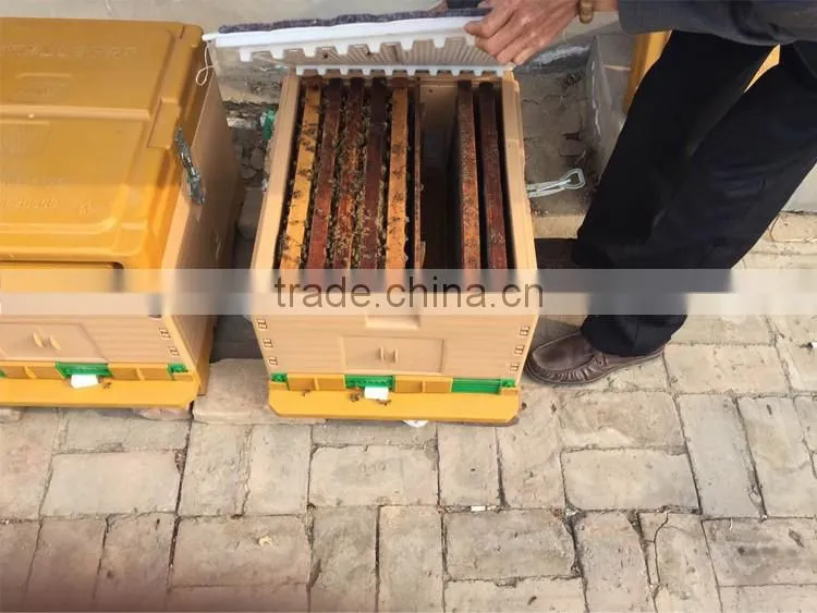 plastic hive , beehive for sale