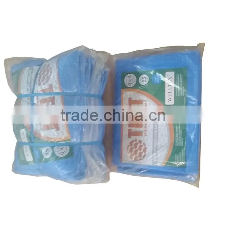 china PE tarpaulin factory, quality blue orange pe waterproof tarpaulin mesh fabric canvas tarpaulin