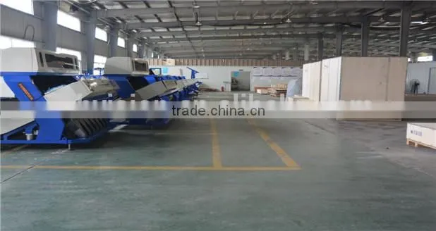 optical color sorter, digital color separation machine for garlic slice