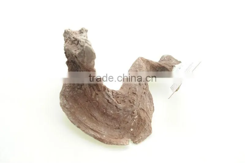 aquatic crafts resin ornament
