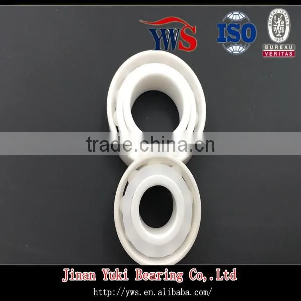 zro2 Full Ceramic Angular Contact Ball Bearing 7204