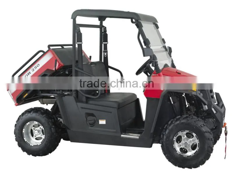 250cc 12KW EFI engine UTV Utility Vehicle (TKU250E-2B)