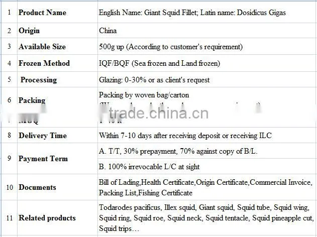 Frozen Skiness Giant Squid Fillet