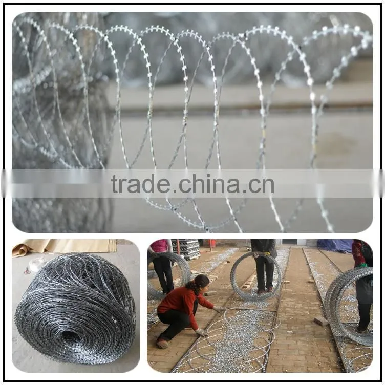 WEIHAO hot selling Standard Flat wrap and Concertina coil razor wire