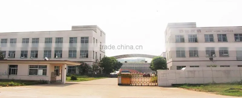 Zhejiang Baiyi Home Textile Co., Ltd. company overview - view 1