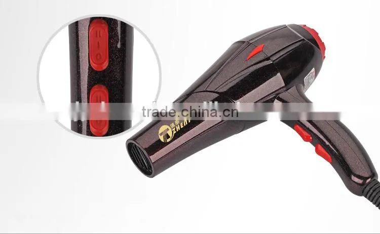 220V Professional Salon Hair Dryer for Woman